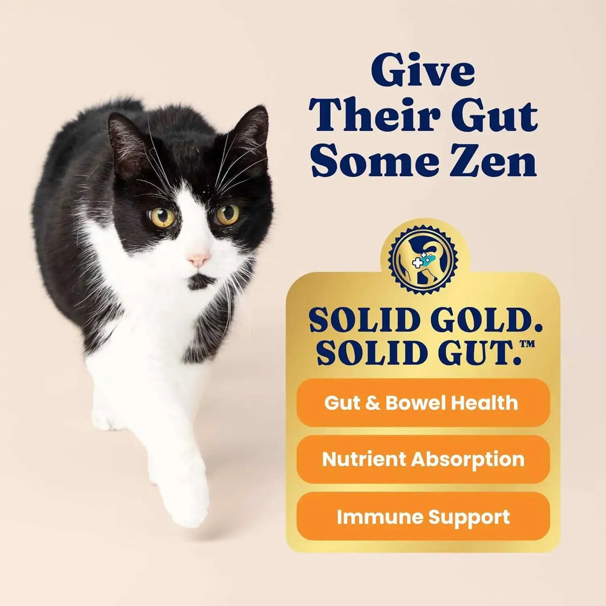 Premium High Protein Dry Cat Food