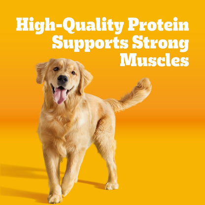 Pedigree Complete Nutrition Dry Dog Food, Steak & Vegetable