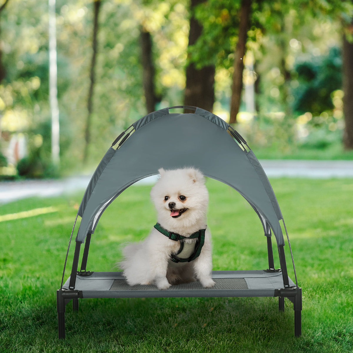 Elevated Dog Bed with Removable Canopy,30 inch