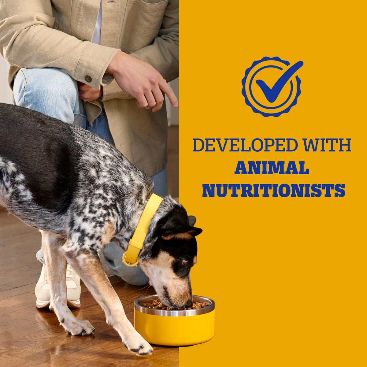 Pedigree Complete Nutrition Dry Dog Food, Steak & Vegetable