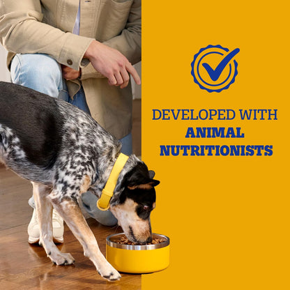 Pedigree Complete Nutrition Dry Dog Food, Steak & Vegetable