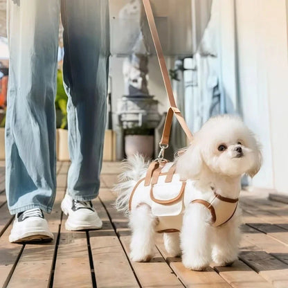 AdventurePup Harness Set - Backpack, Leash & Harness in One