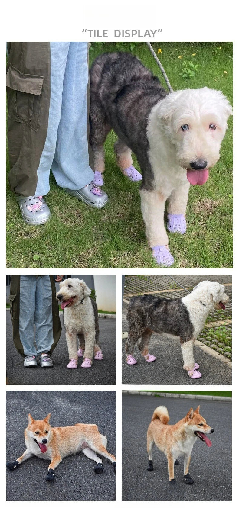 LightPaws™ Shoes