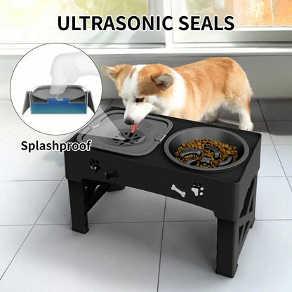Raised Dog Bowl Stand Anti Slip Feet Double Feeder For Small Medium Large Dogs Cats Pet Bowls