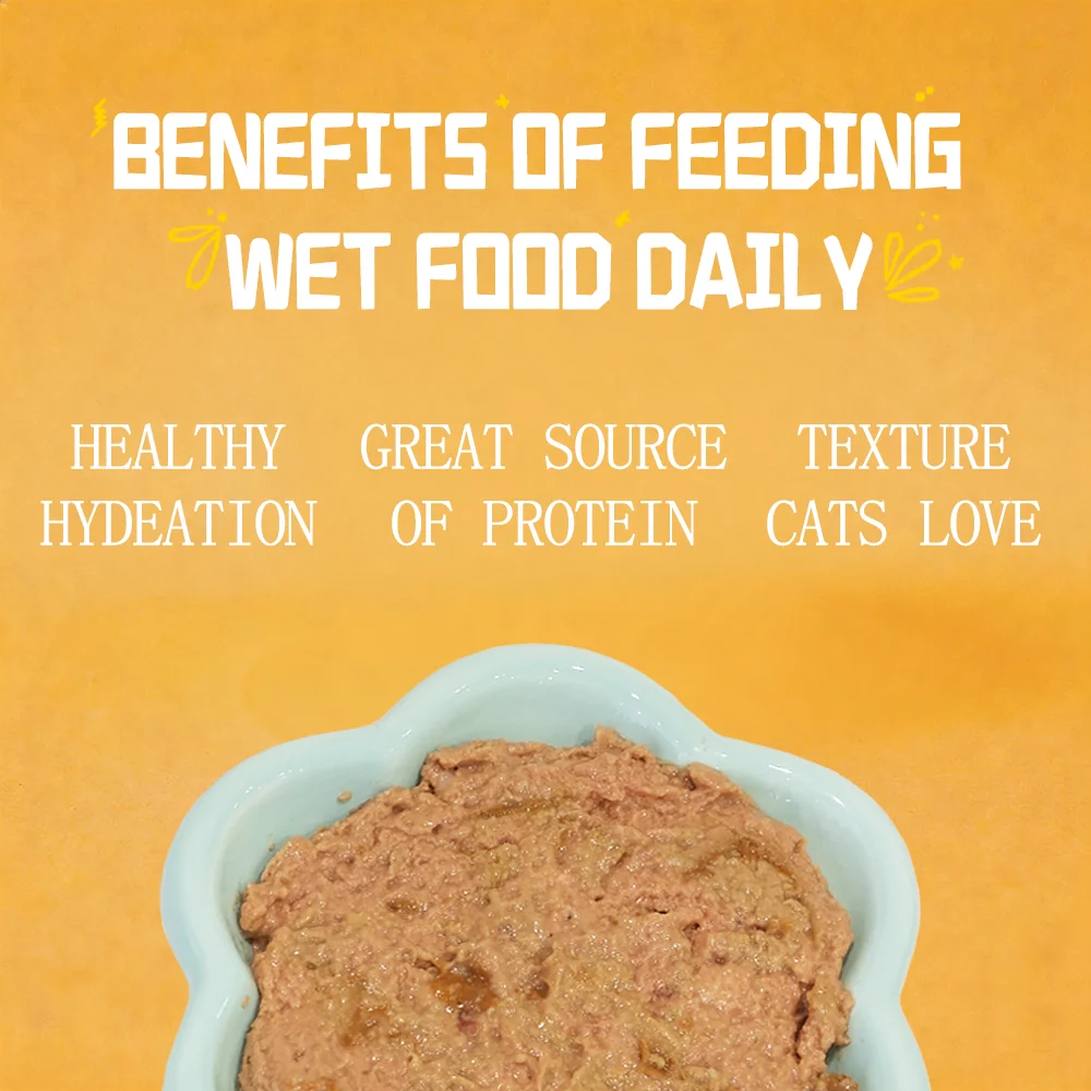 Petfull Cat Canned for Cat and Dog Pet Food 170gx24