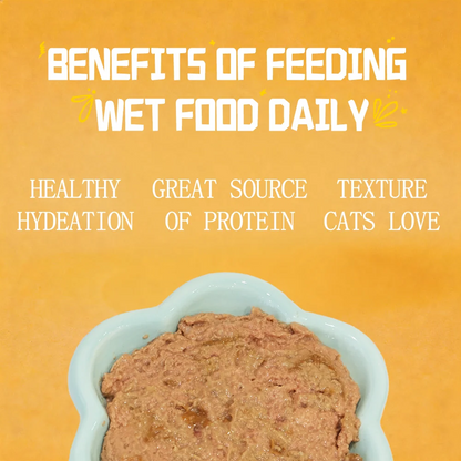 Petfull Cat Canned for Cat and Dog Pet Food 170gx24