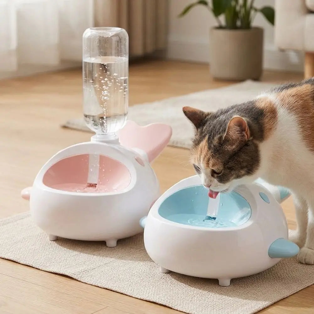 WhaleSip Cat Fountain - Fresh Water, Happy Paws