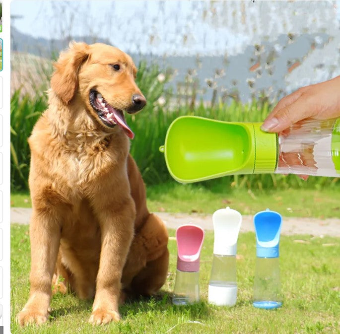 2In1 Portable Water Bottle