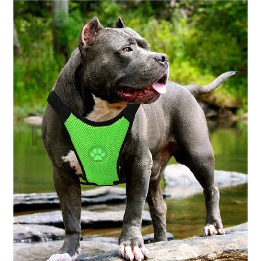 Breathable mesh chest straps